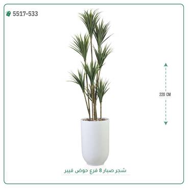 صورة مصغرة 7