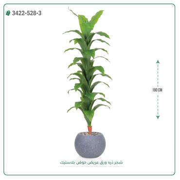 صورة مصغرة 5
