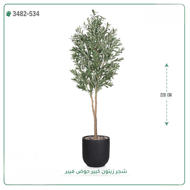 صورة مصغرة 5