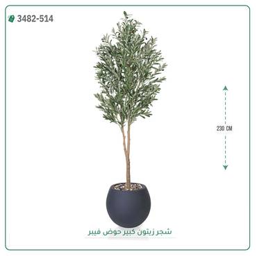 صورة مصغرة 5