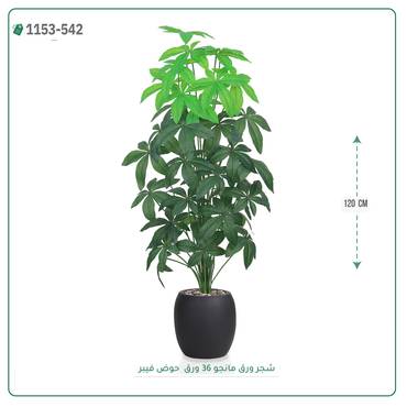 صورة مصغرة 5