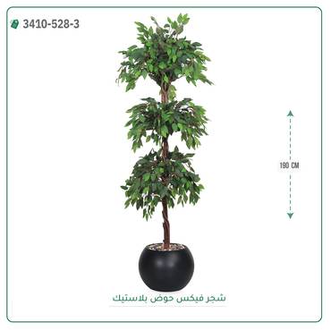 صورة مصغرة 2