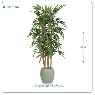 صورة مصغرة 7