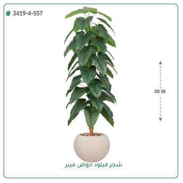 صورة مصغرة 6