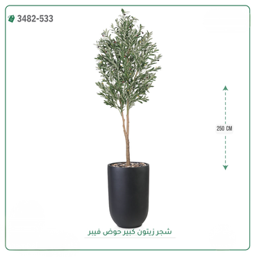 صورة مصغرة 2
