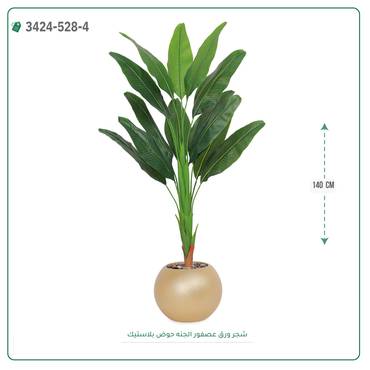 صورة مصغرة 3