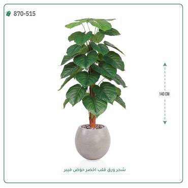 صورة مصغرة 3