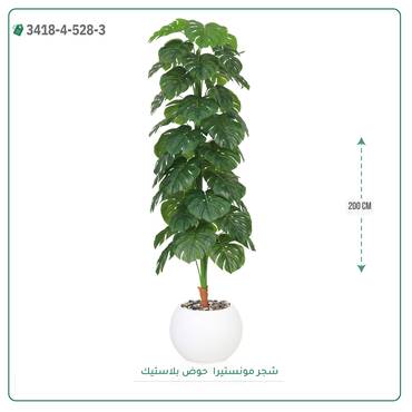 صورة مصغرة 10
