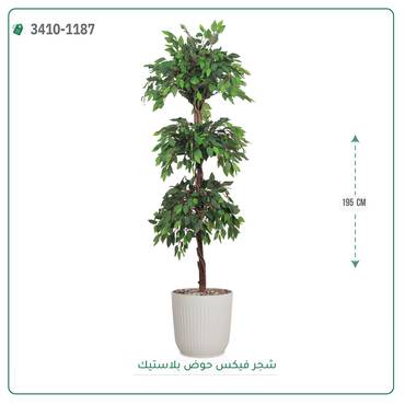 صورة مصغرة 2