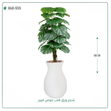 صورة مصغرة 2