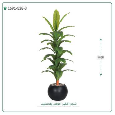 صورة مصغرة 3