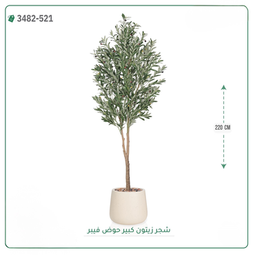 صورة مصغرة 6