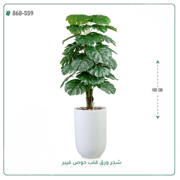 صورة مصغرة 7