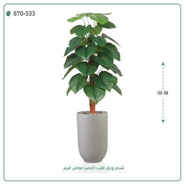 صورة مصغرة 5