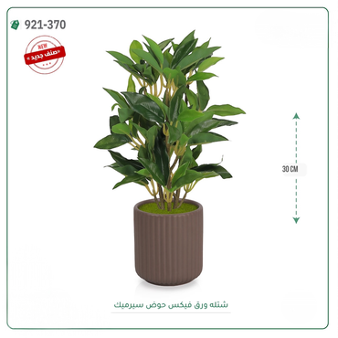 صورة مصغرة 3