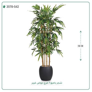 صورة مصغرة 3