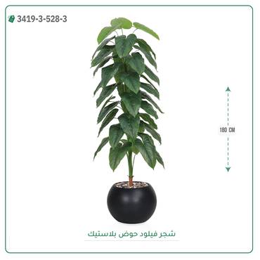 صورة مصغرة 3