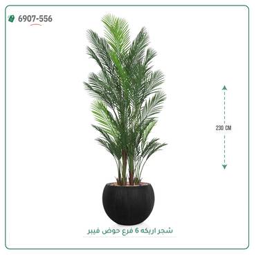 صورة مصغرة 4