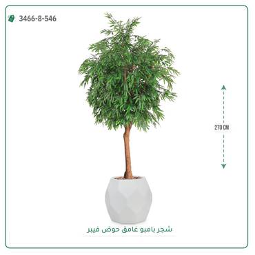 صورة مصغرة 19