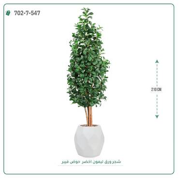 صورة مصغرة 1