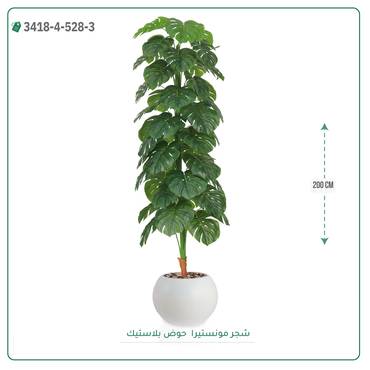 صورة مصغرة 11