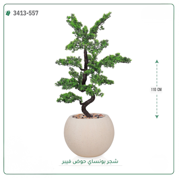 صورة مصغرة 5