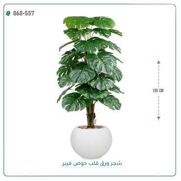 صورة مصغرة 3