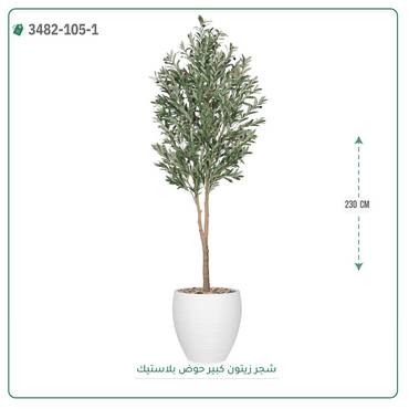 صورة مصغرة 1