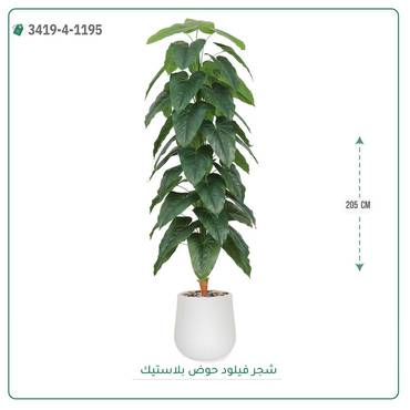 صورة مصغرة 1