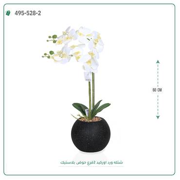 صورة مصغرة 3