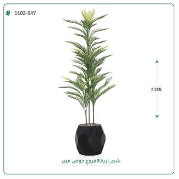 صورة مصغرة 4