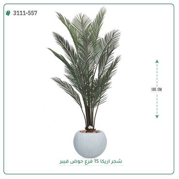 صورة مصغرة 3