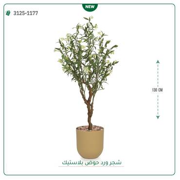 صورة مصغرة 4