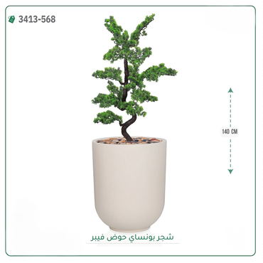 صورة مصغرة 6