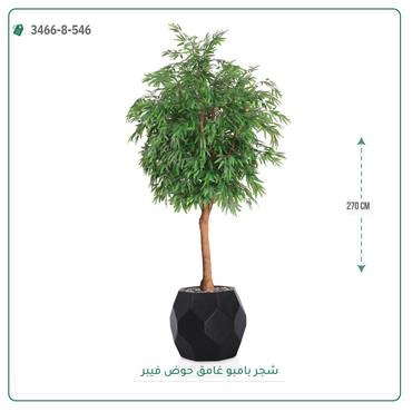 صورة مصغرة 27