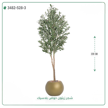 صورة مصغرة 8