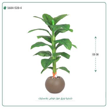 صورة مصغرة 4