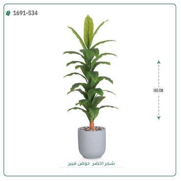 صورة مصغرة 5