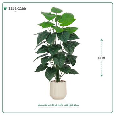 صورة مصغرة 6