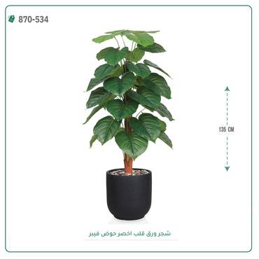 صورة مصغرة 3