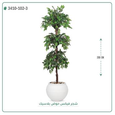 صورة مصغرة 1