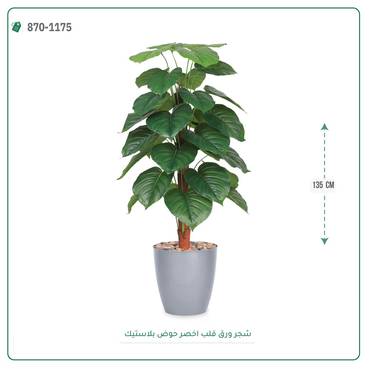 صورة مصغرة 5
