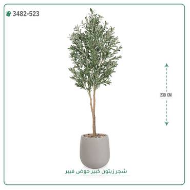صورة مصغرة 4