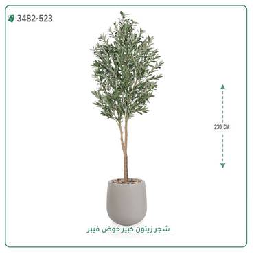 صورة مصغرة 1