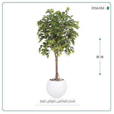 صورة مصغرة 5