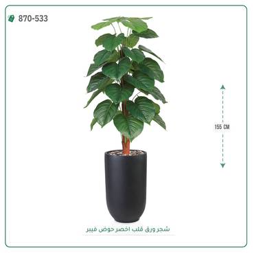 صورة مصغرة 6