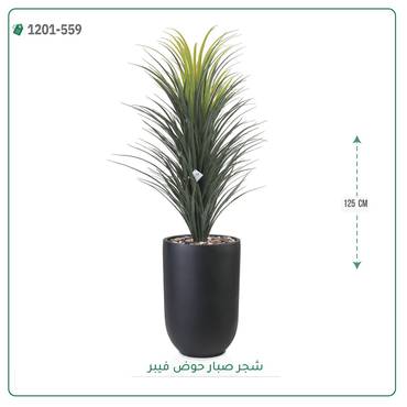 صورة مصغرة 4