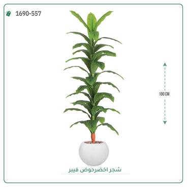 صورة مصغرة 8