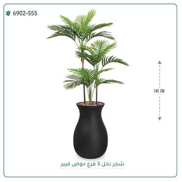 صورة مصغرة 6