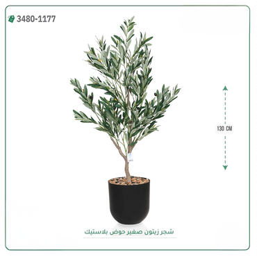 صورة مصغرة 2